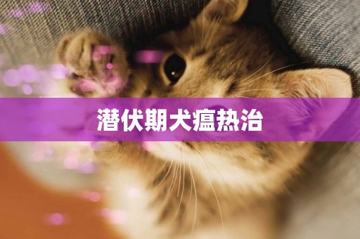潛伏期犬瘟熱治