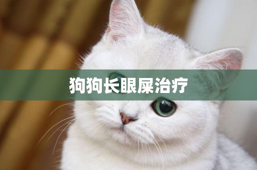 狗狗長眼屎治療