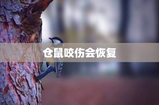 倉鼠咬傷會恢復