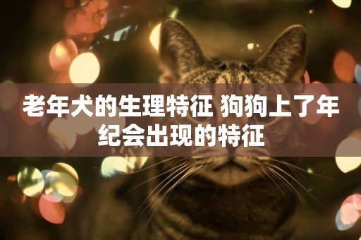 老年犬的生理特征 狗狗上了年紀會出現的特征
