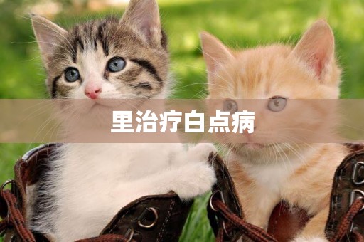 里治療白點病