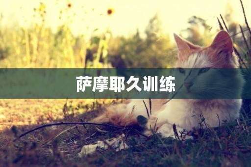 薩摩耶久訓練