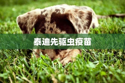 泰迪先驅蟲疫苗