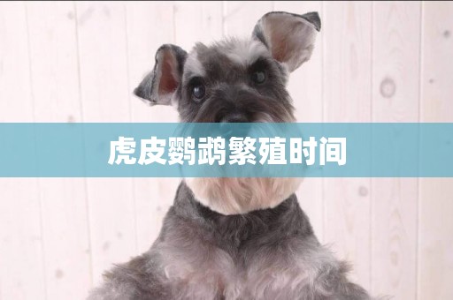 虎皮鸚鵡繁殖時間
