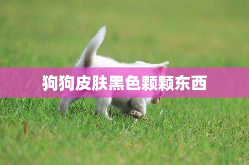 狗狗皮膚黑色顆顆東西