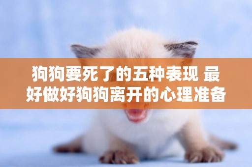 狗狗要死了的五種表現 最好做好狗狗離開的心理準備