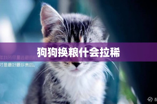 狗狗換糧什會拉稀