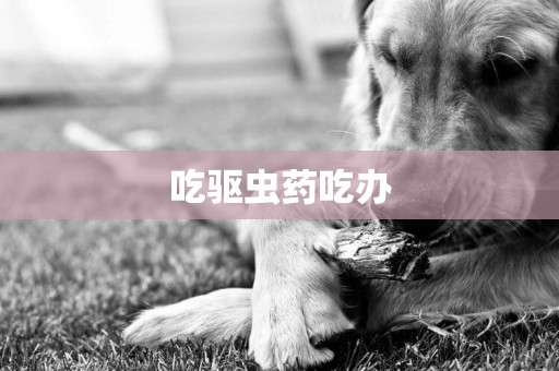 吃驅蟲藥吃辦
