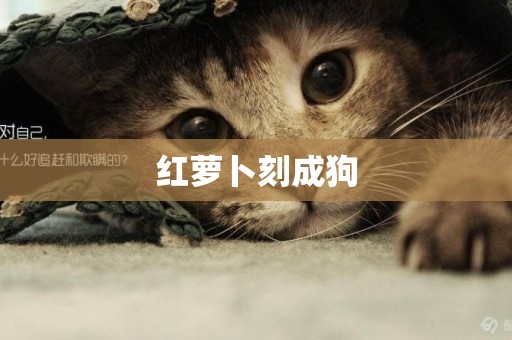 紅蘿卜刻成狗