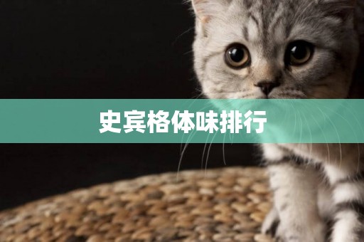 史賓格體味排行