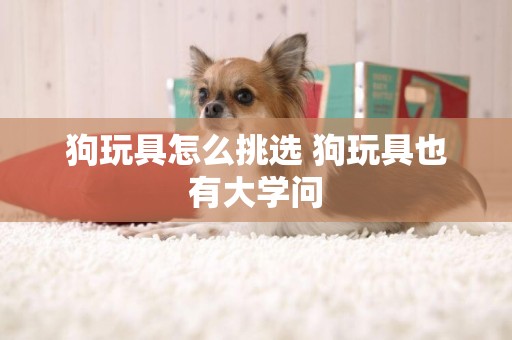 狗玩具怎么挑選 狗玩具也有大學問