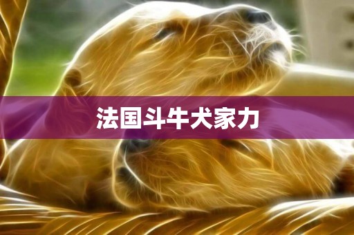 法國斗牛犬家力