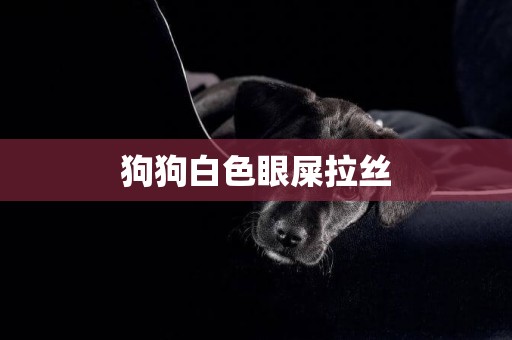 狗狗白色眼屎拉絲