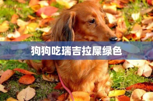 狗狗吃瑞吉拉屎綠色