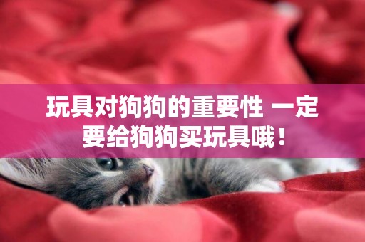 玩具對狗狗的重要性 一定要給狗狗買玩具哦！