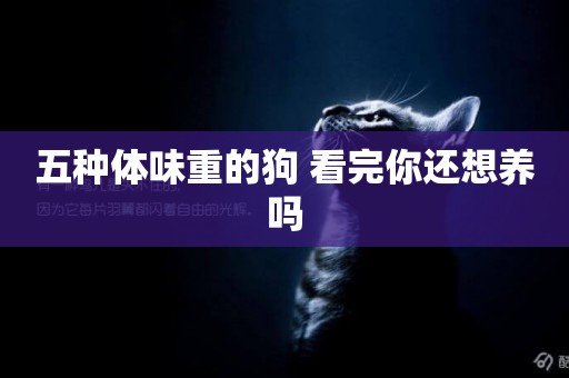 五種體味重的狗 看完你還想養嗎