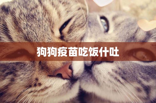 狗狗疫苗吃飯什吐
