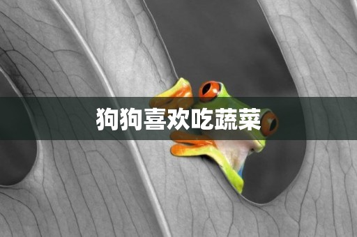 狗狗喜歡吃蔬菜