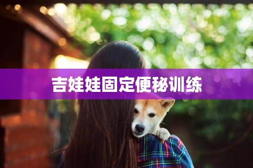 吉娃娃固定便秘訓練