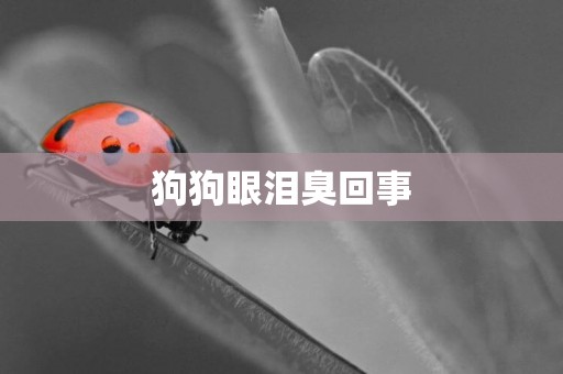 狗狗眼淚臭回事
