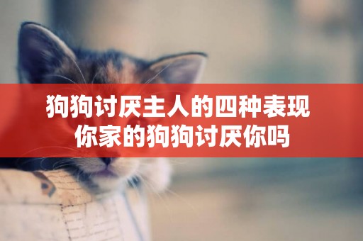 狗狗討厭主人的四種表現 你家的狗狗討厭你嗎 狗狗討厭主人的四種表現 你家的狗狗討厭你嗎