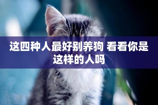 這四種人最好別養狗 看看你是這樣的人嗎 這四種人最好別養狗 看看你是這樣的人嗎