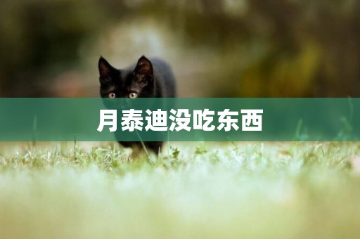 月泰迪沒吃東西
