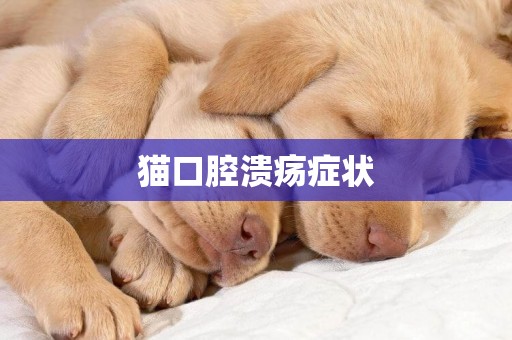 貓口腔潰瘍癥狀