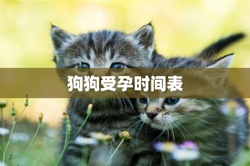 狗狗受孕時間表