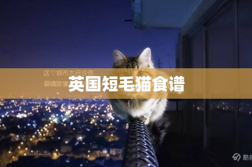 英國短毛貓食譜