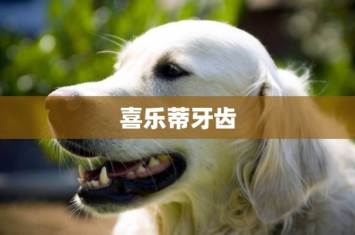 喜樂蒂牙齒