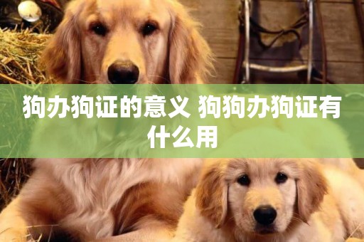 狗辦狗證的意義 狗狗辦狗證有什么用