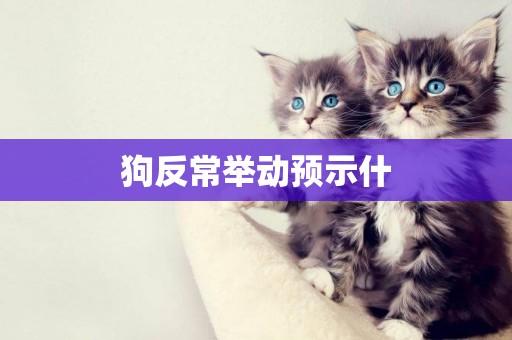 狗反常舉動預示什