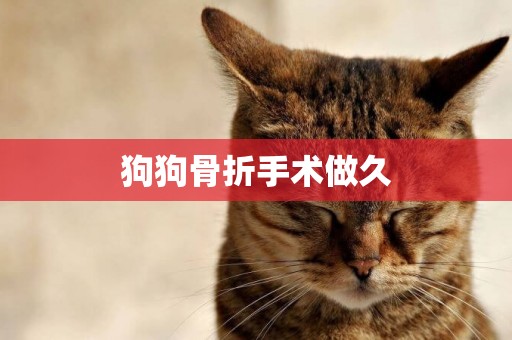 狗狗骨折手術做久