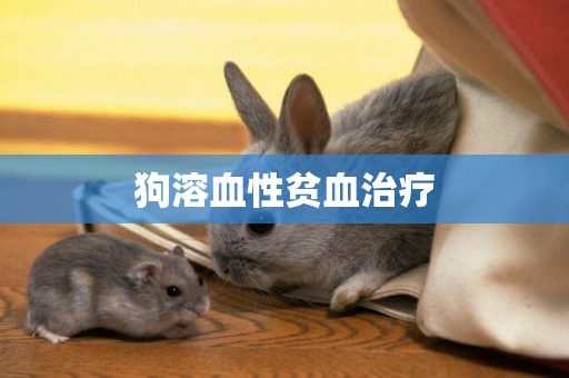 狗溶血性貧血治療