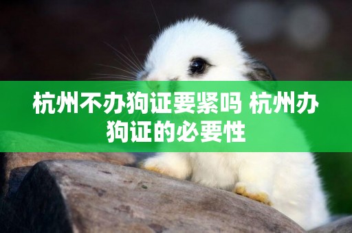 杭州不辦狗證要緊嗎 杭州辦狗證的必要性