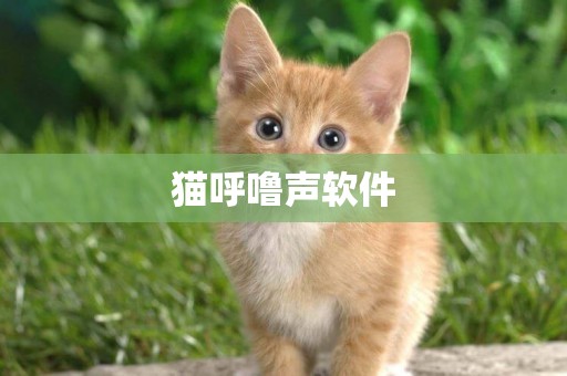 貓呼嚕聲軟件