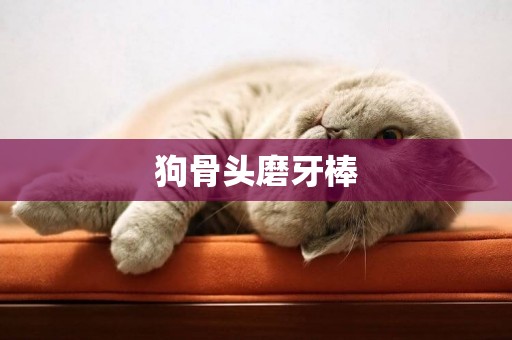 狗骨頭磨牙棒