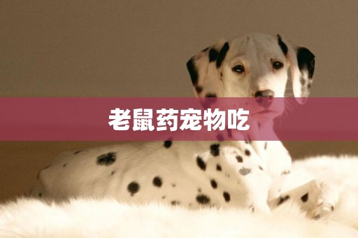 老鼠藥寵物吃