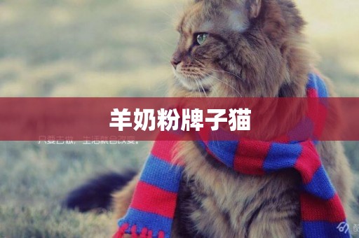 羊奶粉牌子貓