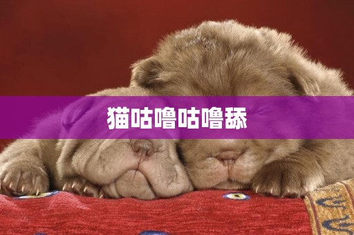 貓咕嚕咕嚕舔