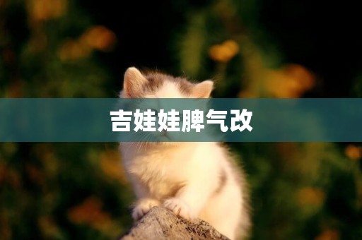 吉娃娃脾氣改