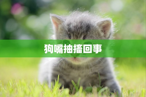 狗嘴抽搐回事
