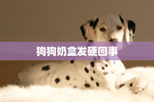 狗狗奶盒發硬回事