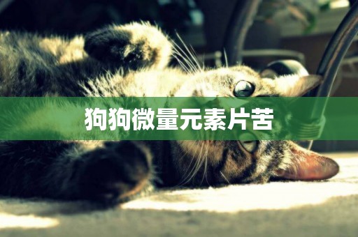 狗狗微量元素片苦