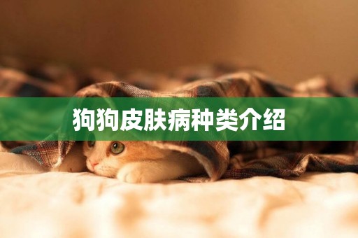 狗狗皮膚病種類介紹