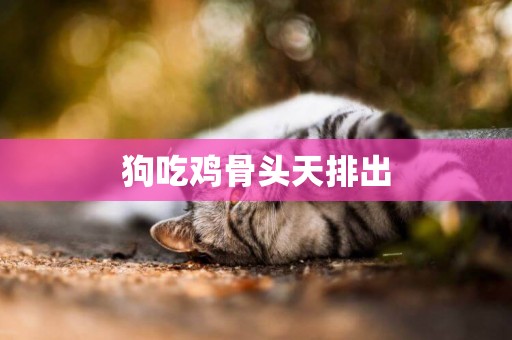 狗吃雞骨頭天排出