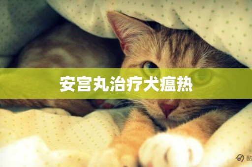 安宮丸治療犬瘟熱