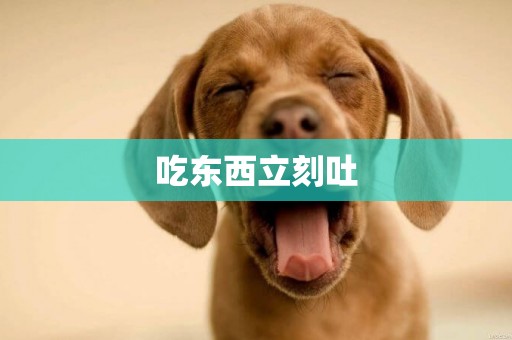 吃東西立刻吐