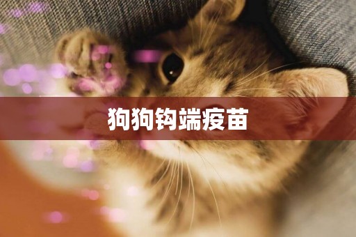 狗狗鉤端疫苗